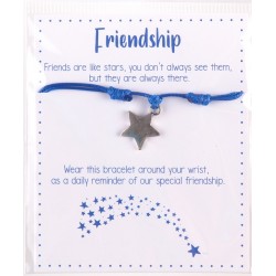 Friendship Bracelet. Pack...